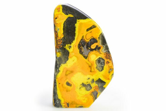 Very Vibrant, Free-Standing Polished Bumblebee Jasper #312048